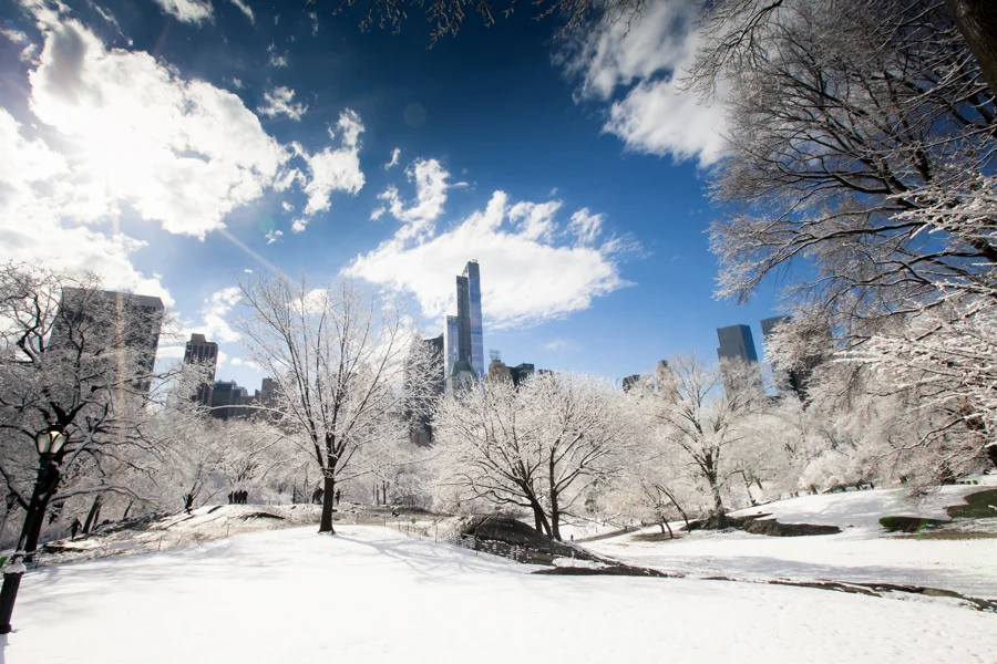 Central Park after the Snow - NYC Photographer — Jessie Wixon Photography