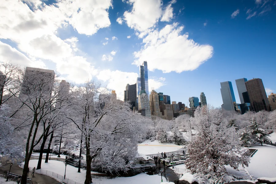 Central Park after the Snow - NYC Photographer — Jessie Wixon Photography