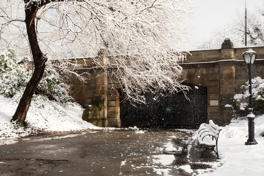 Central Park after the Snow - NYC Photographer — Jessie Wixon Photography