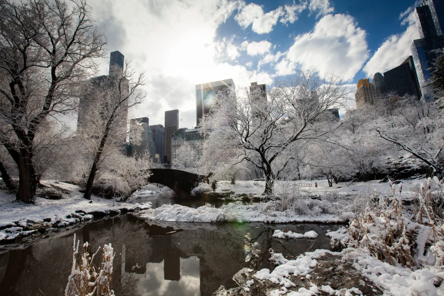 Central Park after the Snow - NYC Photographer — Jessie Wixon Photography
