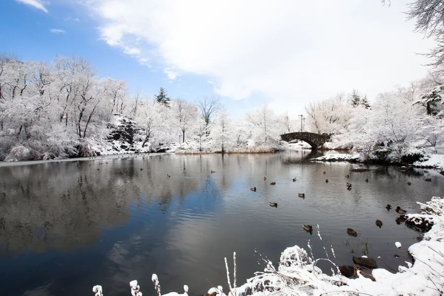 Central Park after the Snow - NYC Photographer — Jessie Wixon Photography