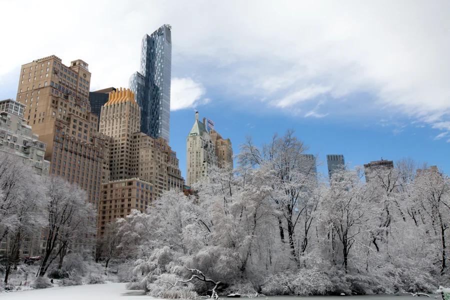 Central Park after the Snow - NYC Photographer — Jessie Wixon Photography