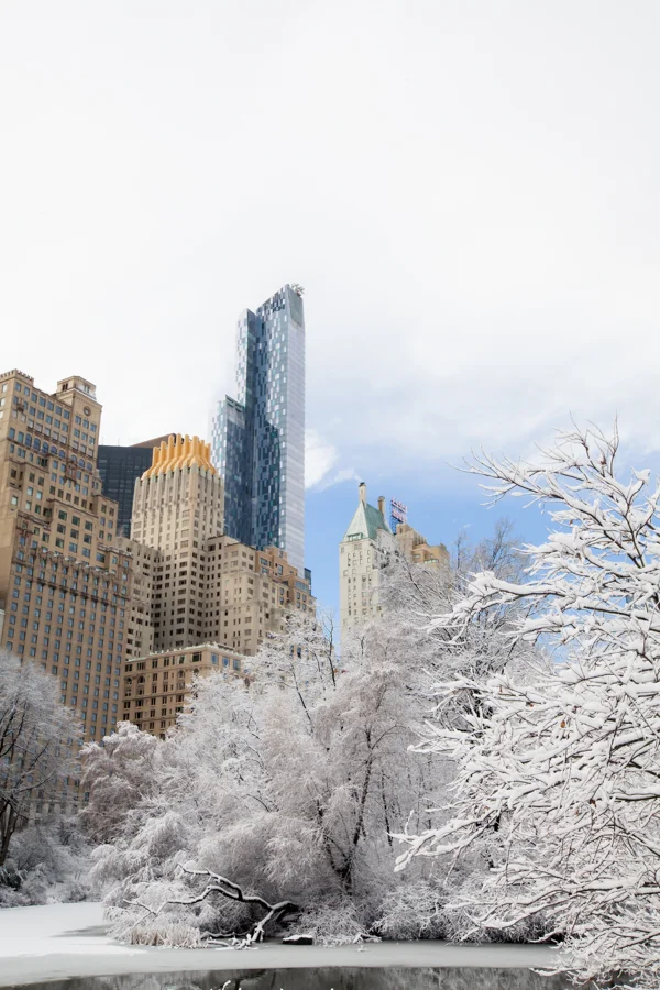 Central Park after the Snow - NYC Photographer — Jessie Wixon Photography