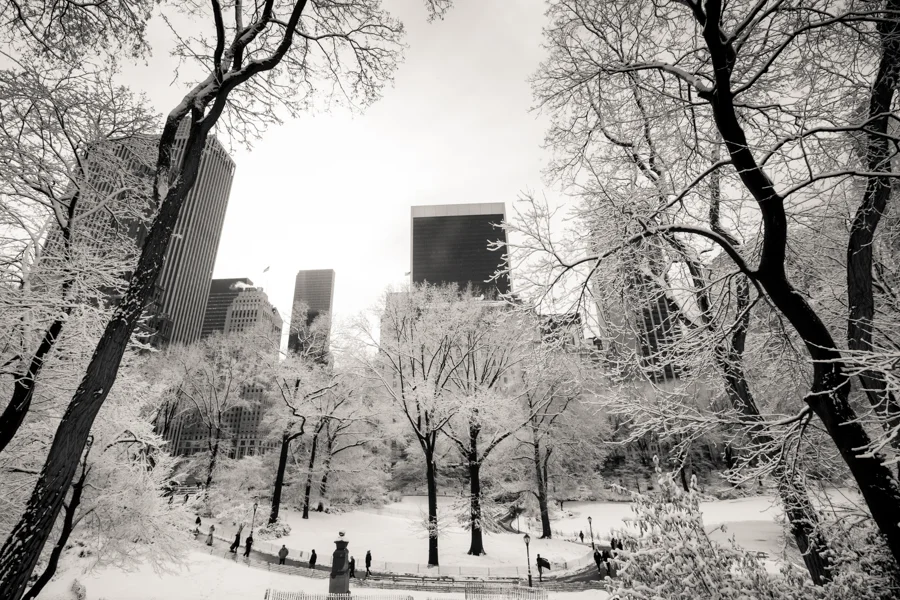 Central Park after the Snow - NYC Photographer — Jessie Wixon Photography