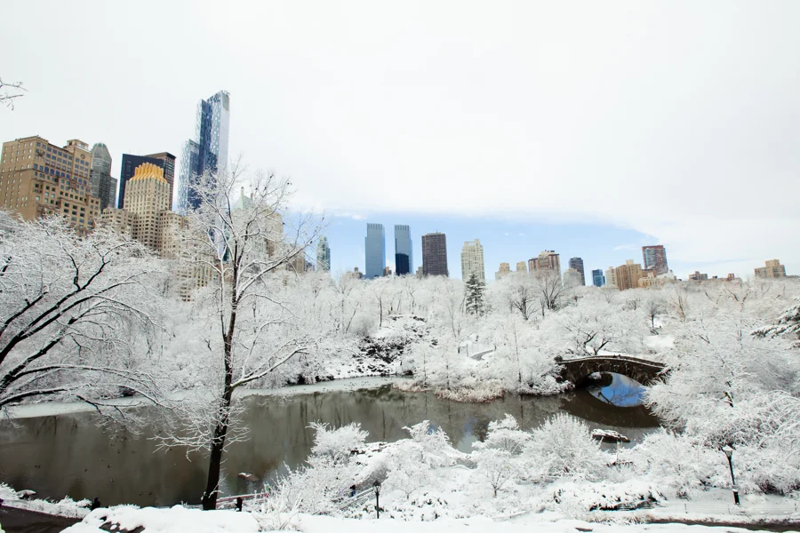 Central Park after the Snow - NYC Photographer — Jessie Wixon Photography