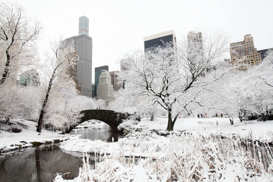 Central Park after the Snow - NYC Photographer — Jessie Wixon Photography