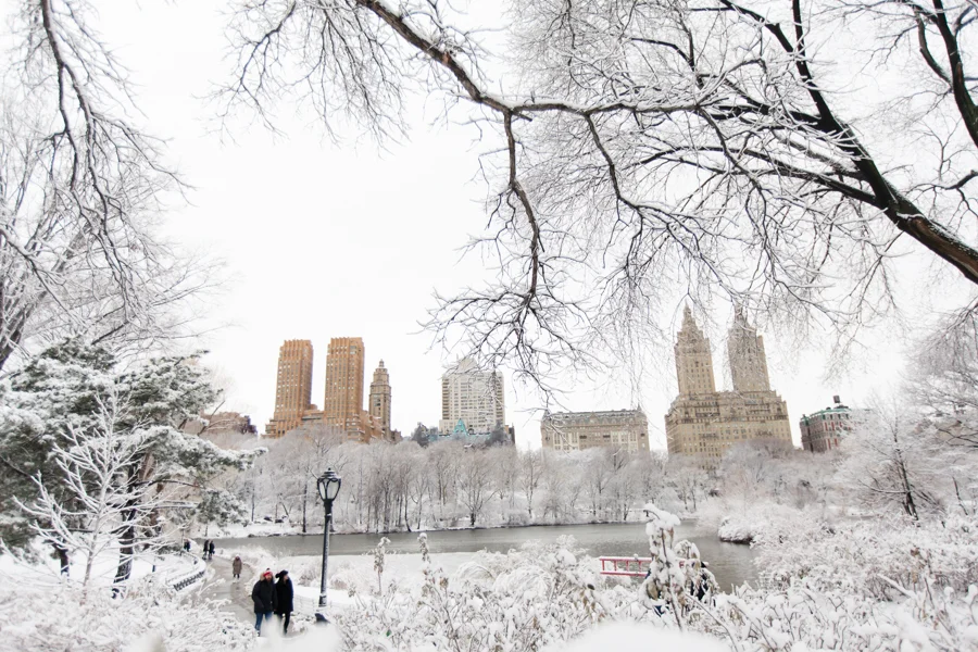 Central Park after the Snow - NYC Photographer — Jessie Wixon Photography