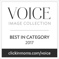 2017VoiceCollection_BestInCategory_badge.jpg