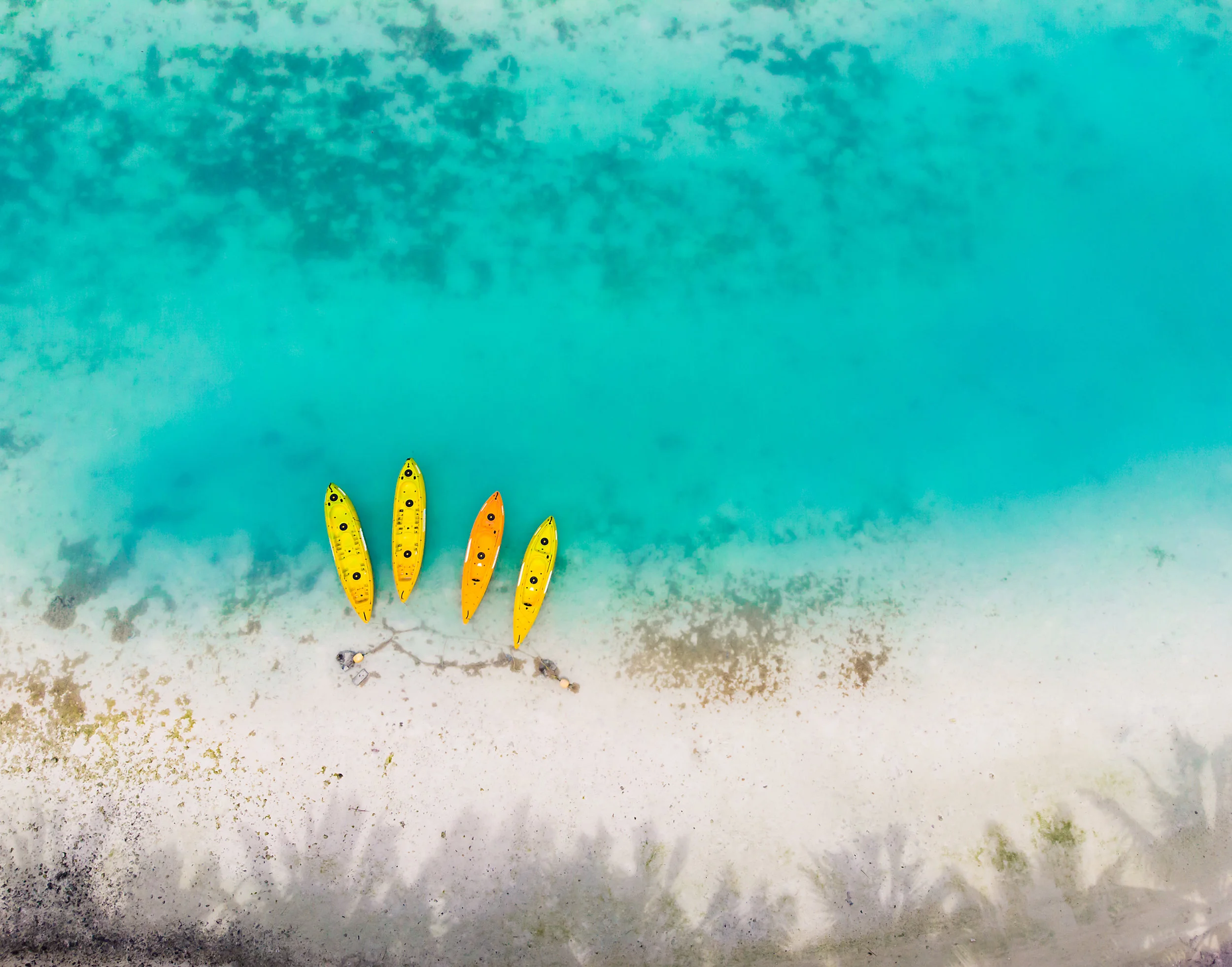 A view from above in the South Pacific (2018 Color Finalist)