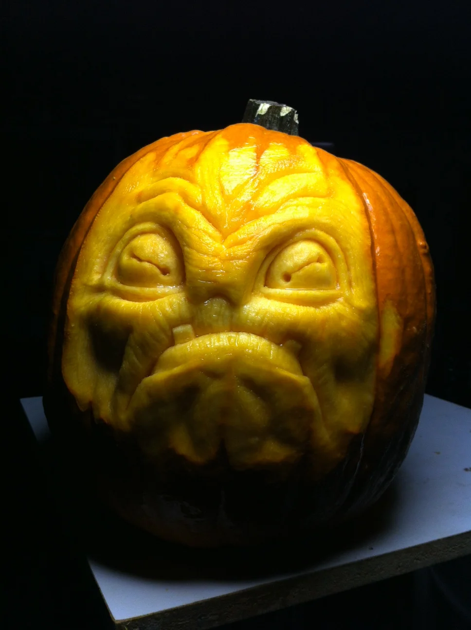 Pumpkin 05.jpg