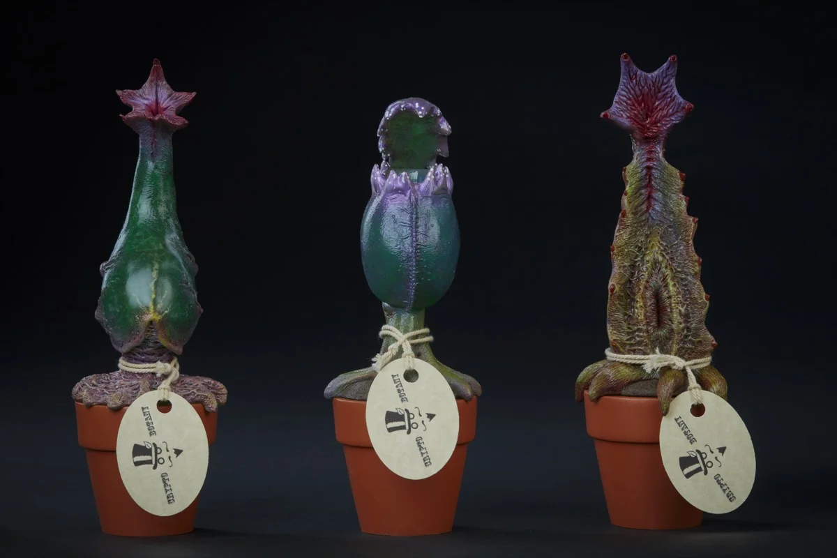 plants4169.jpg