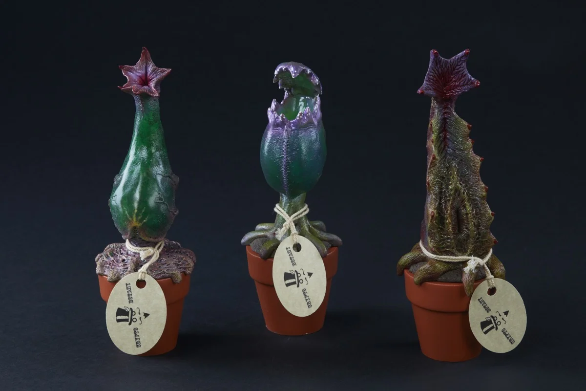 plants4172.jpg