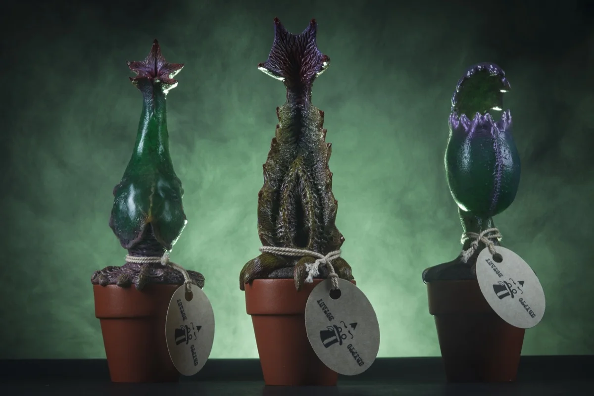 plants4179.jpg