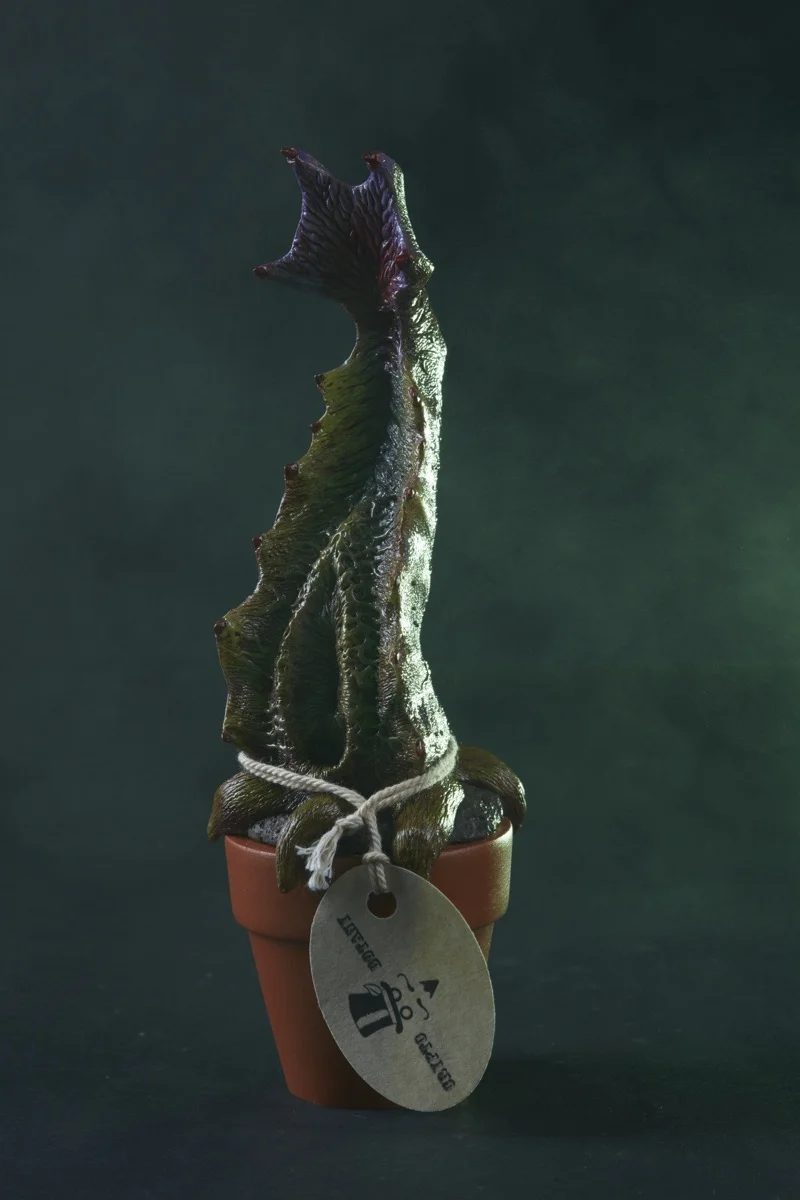 plants4186.jpg