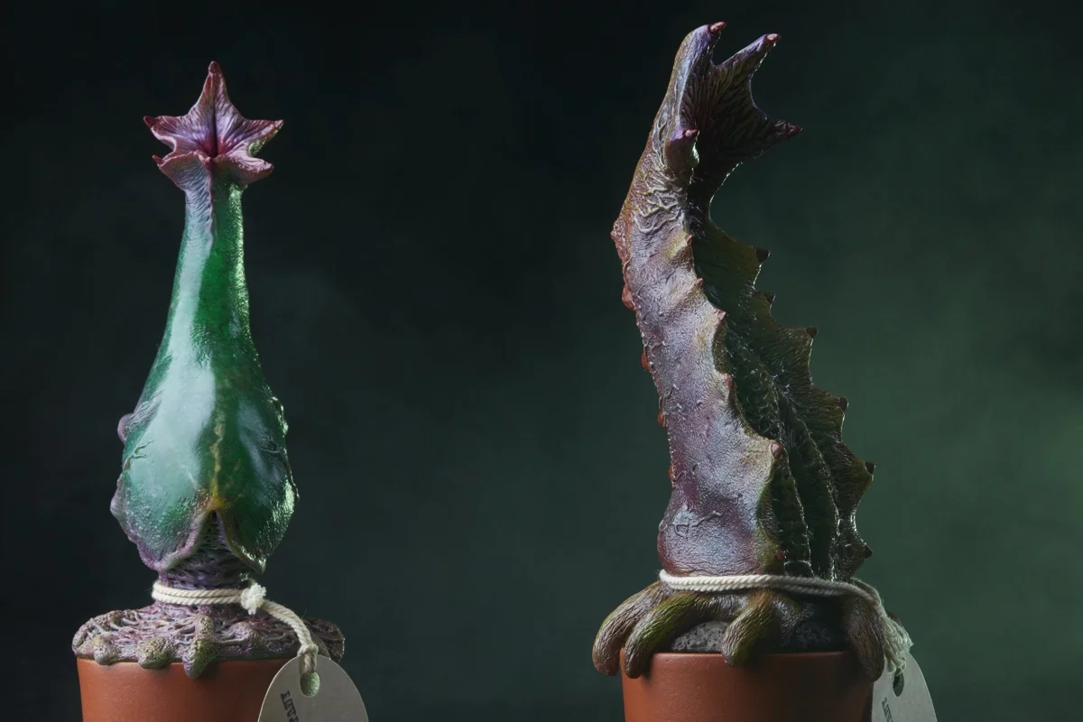plants4193.jpg