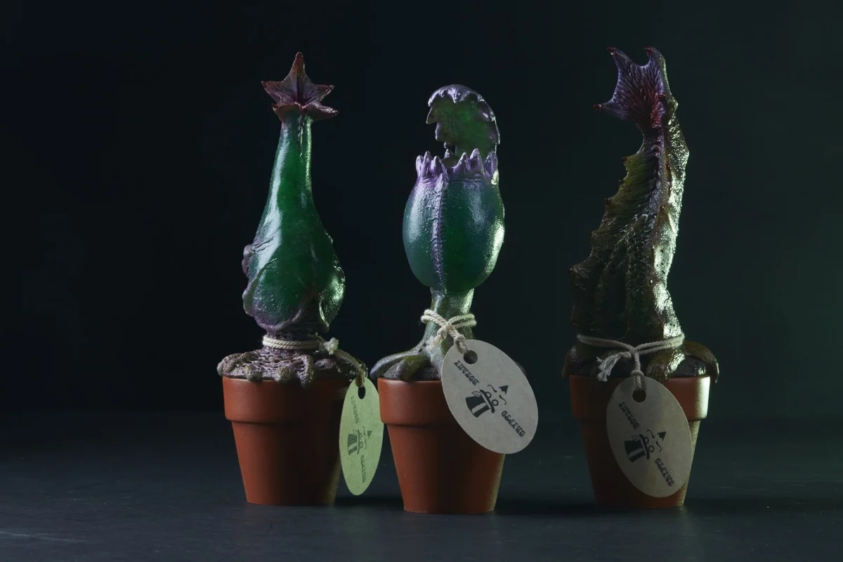 plants4196.jpg