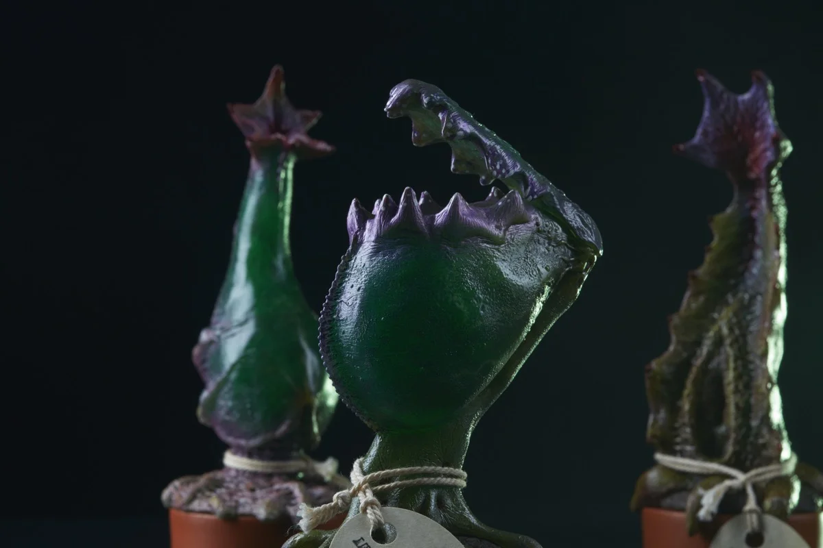 plants4198.jpg