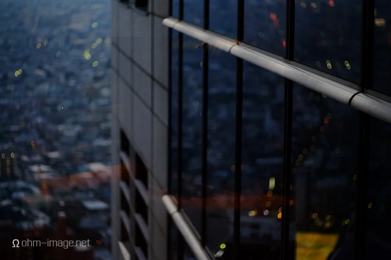 Overlooking Tokyo after high-tea