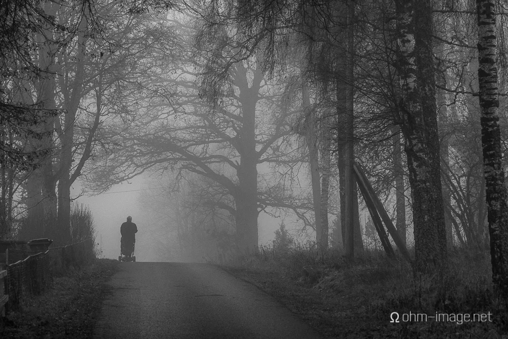 Granny walking baby, Holsbybrunn