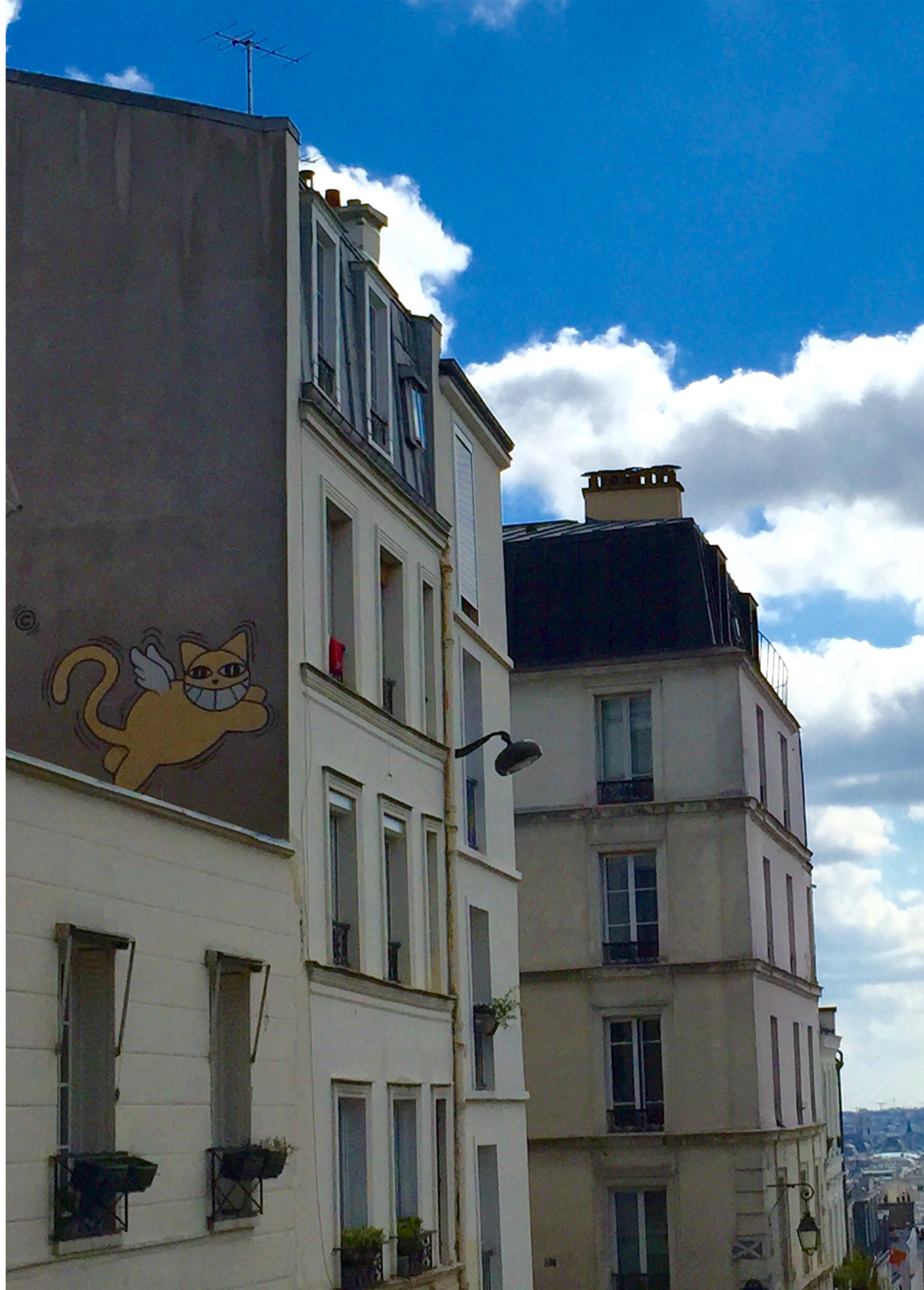 Paris - Cats.jpg