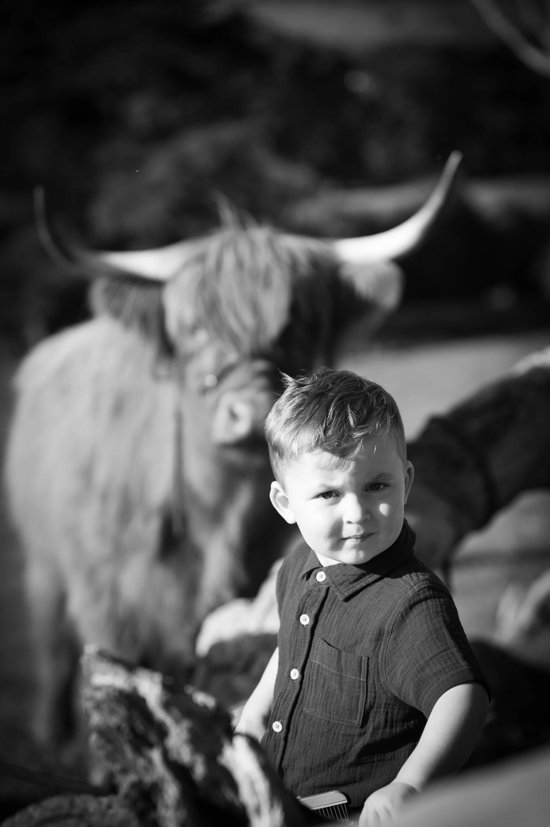 Highland Photo Session