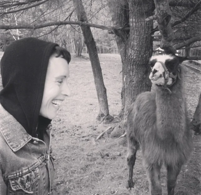 Hanging out with Oblama the llama at Beaverwood Farm.