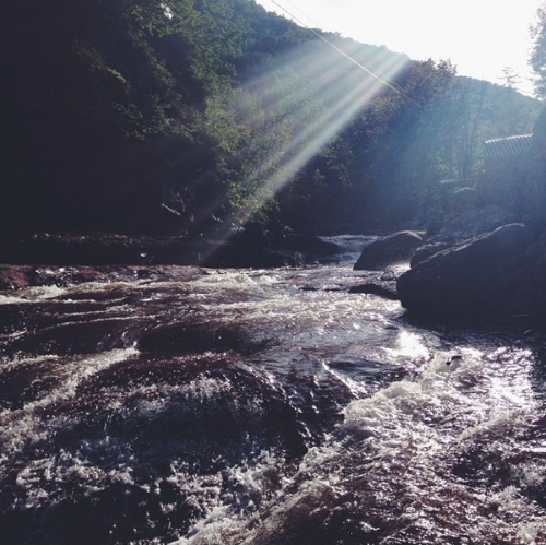 Sun + Sandwiches (Photo by Emily Amarnick)