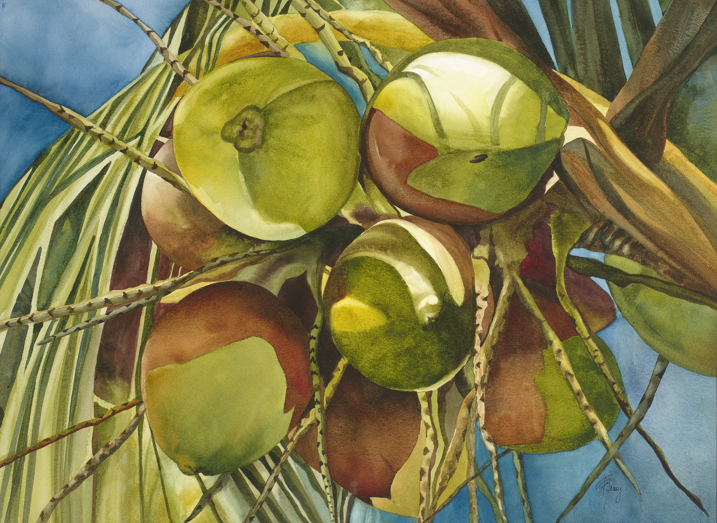 Coconuts I Remy.jpg