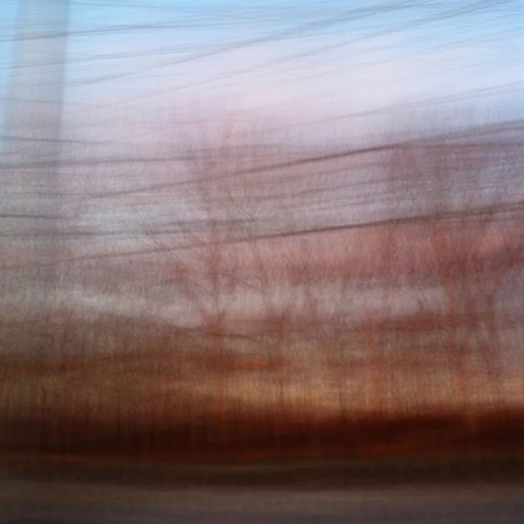8444712988_67369a414c_b.jpg