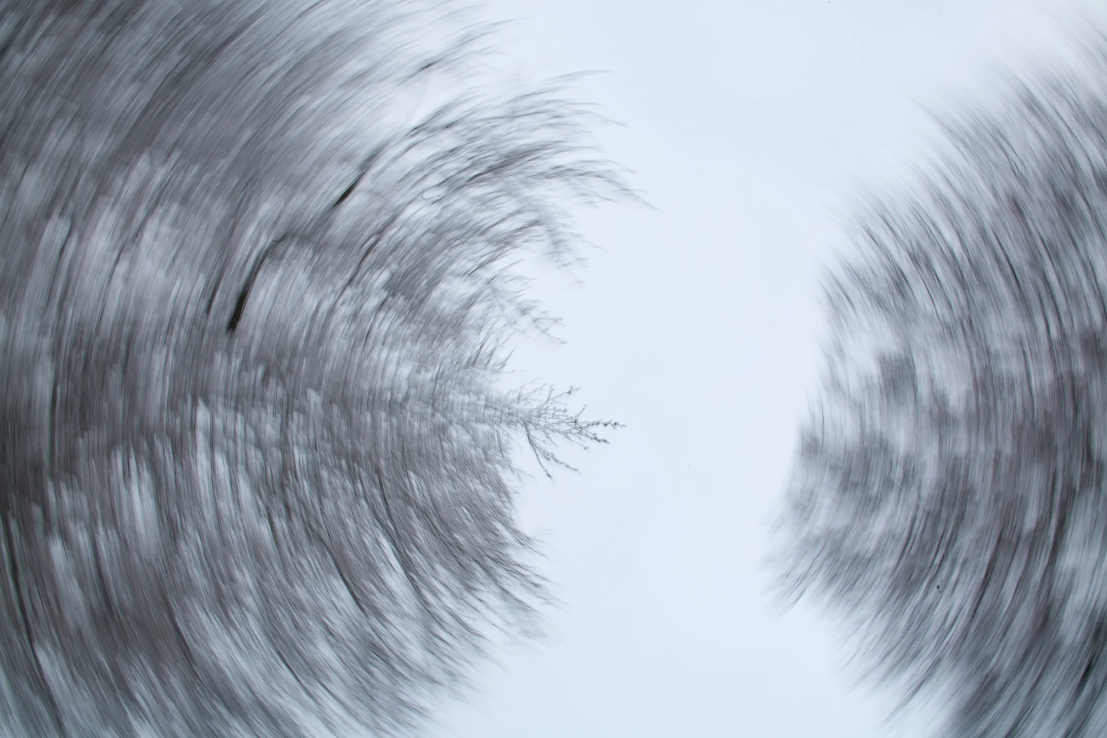 Swirly7.jpg