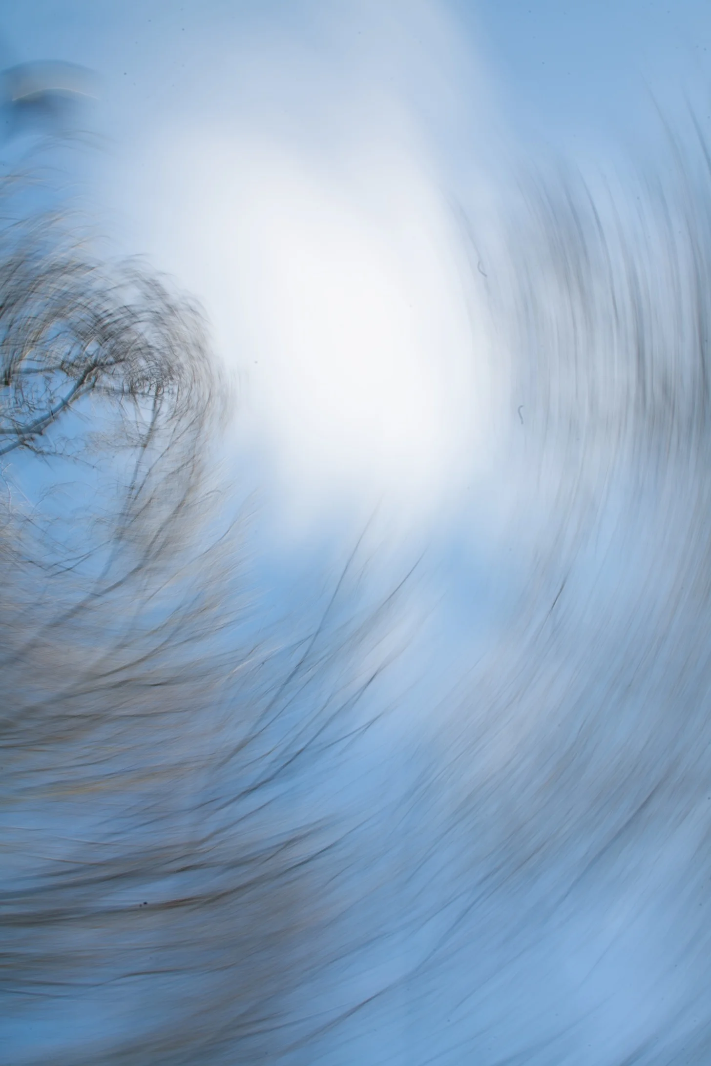 Swirly2.jpg