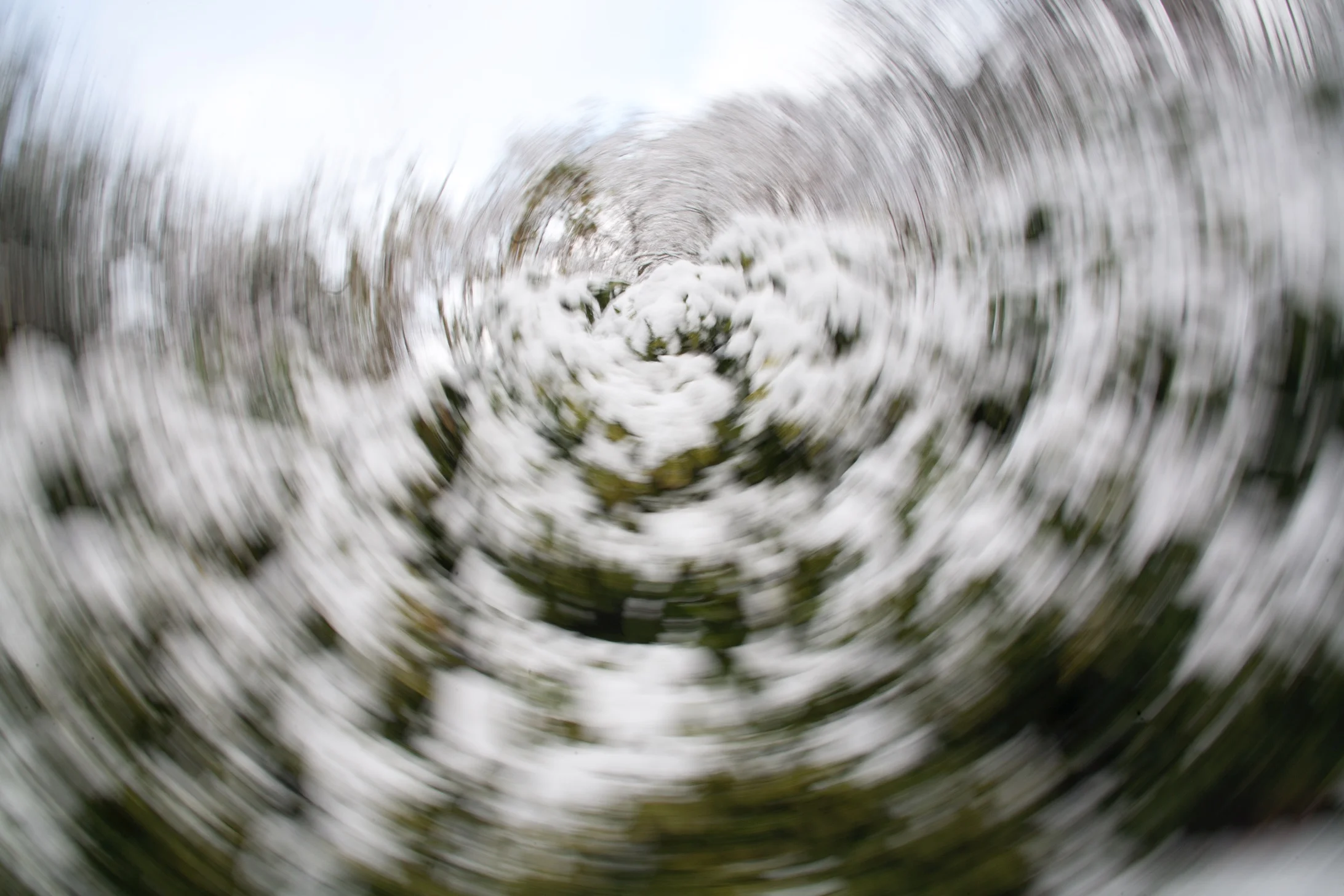 Swirly14.jpg