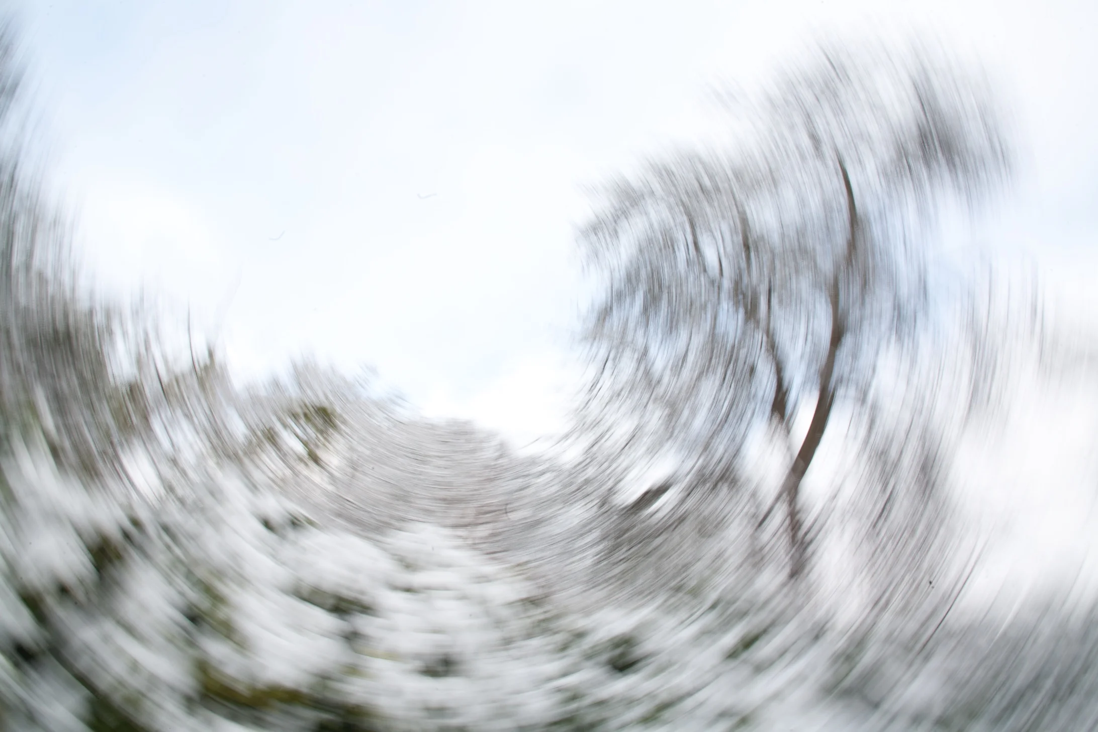 Swirly15.jpg