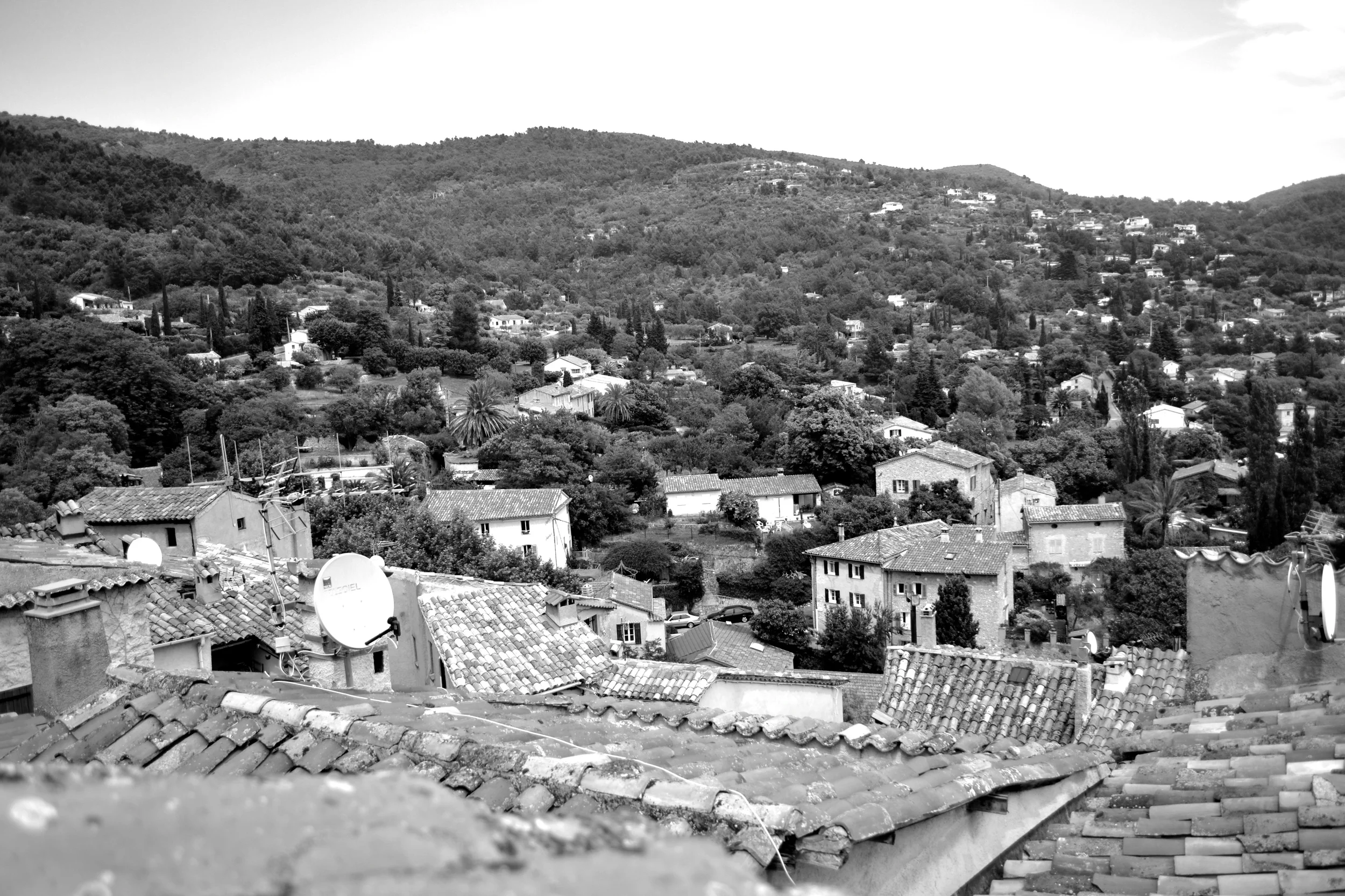 DSC_0042.JPG