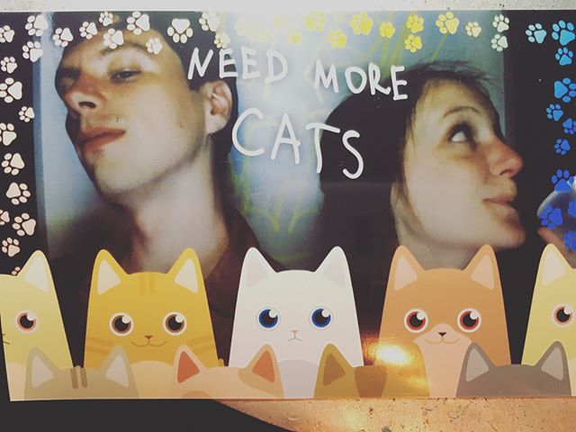 Meowwwww @tjphillips33