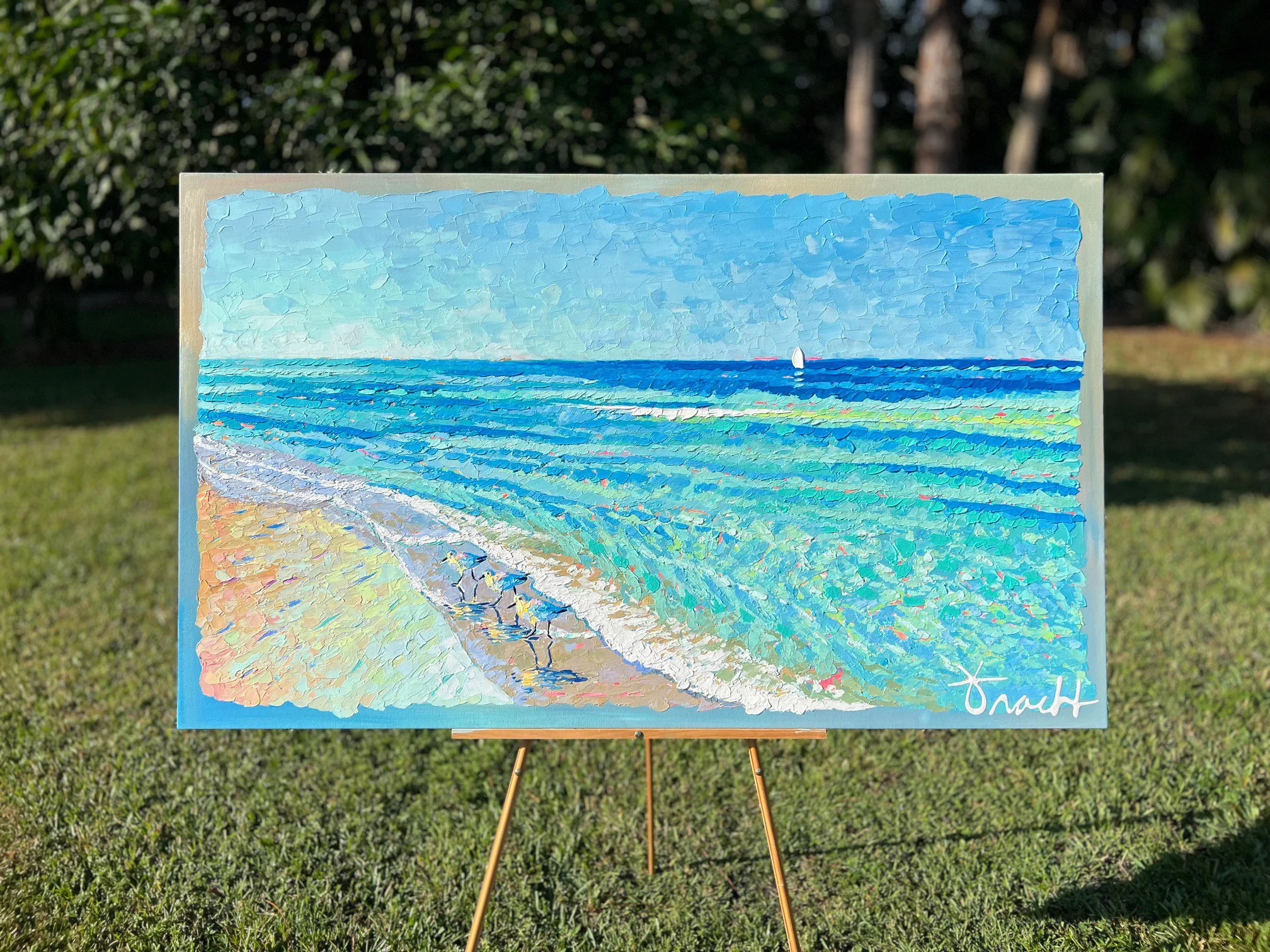 SandpiperBeach6 overall.jpg