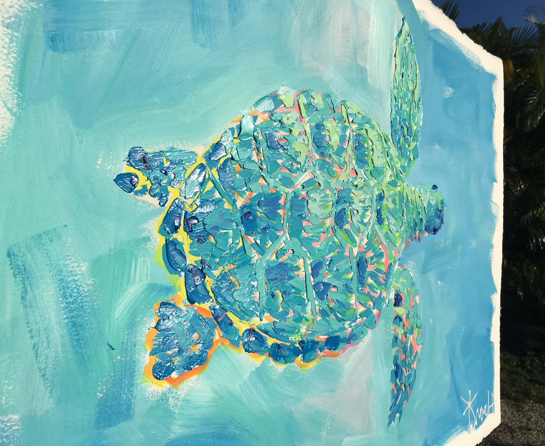 SeaTurtleShores25 d2.jpg