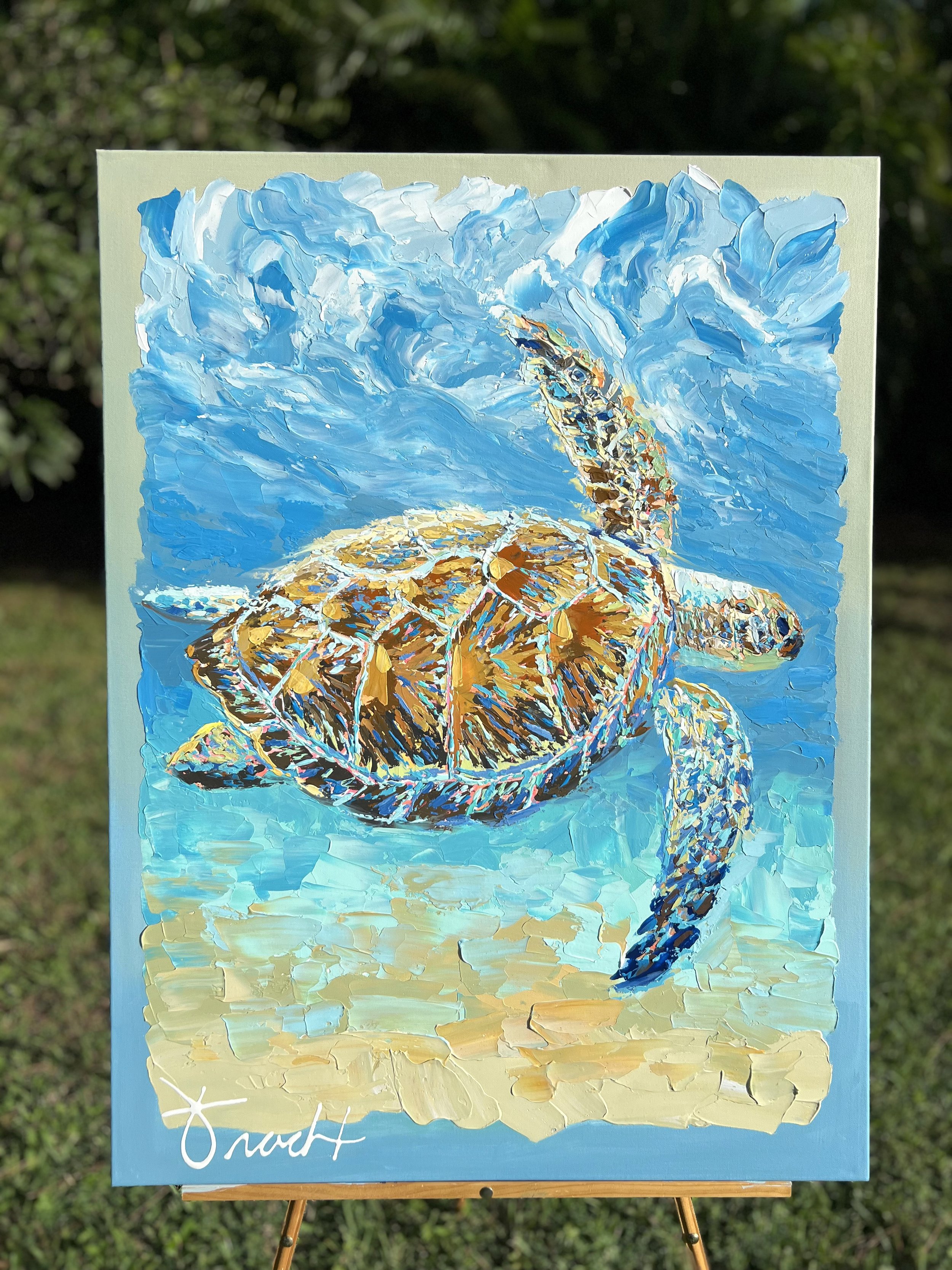 Cruisin Sea Turtle 27.jpg