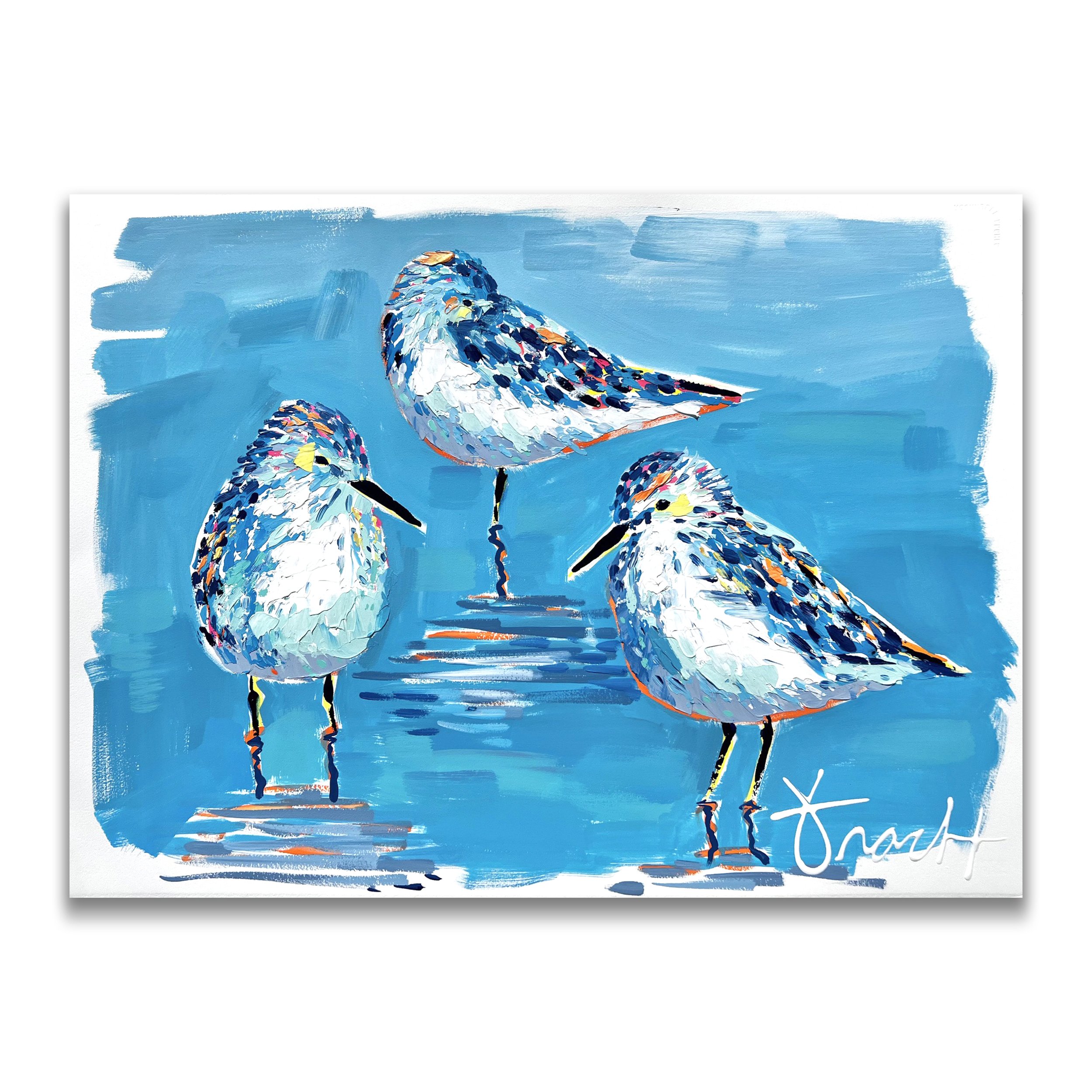 sandpiper shores 57 square.jpg
