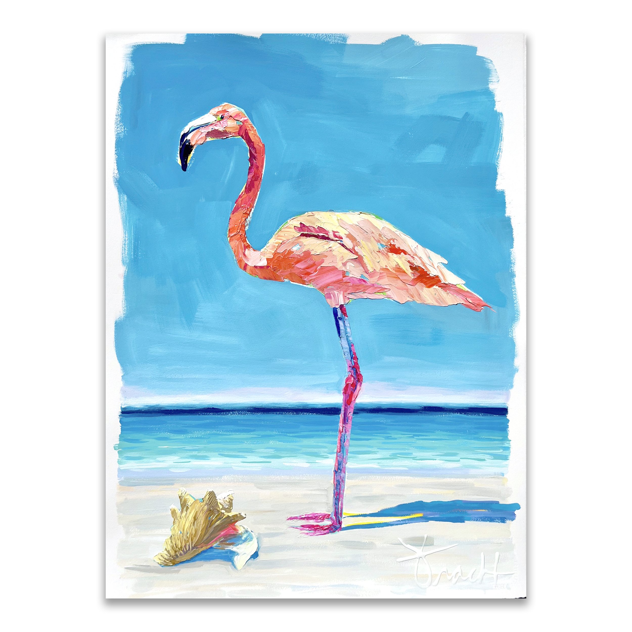 flamingoreflections3square.jpg
