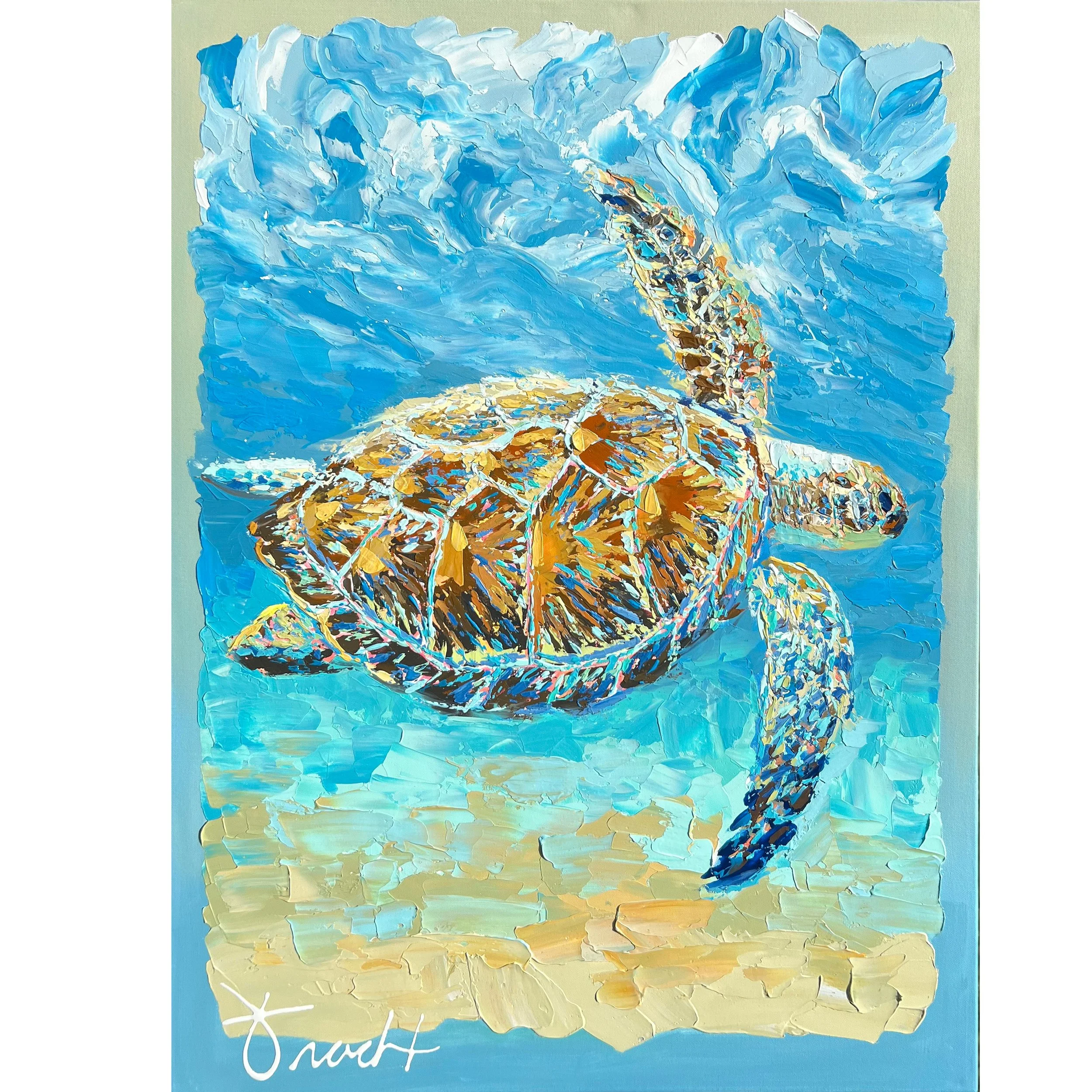 Cruisin Sea Turtle 27 square.jpg