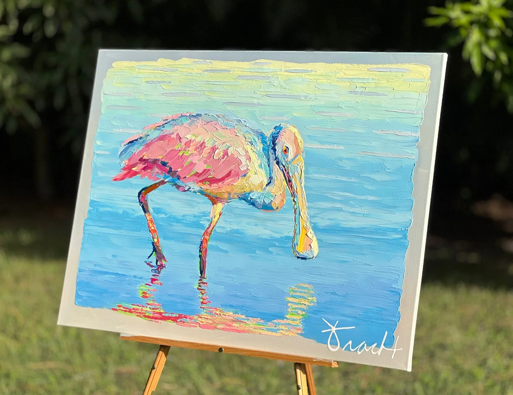 spoonbillreflections24.jpg