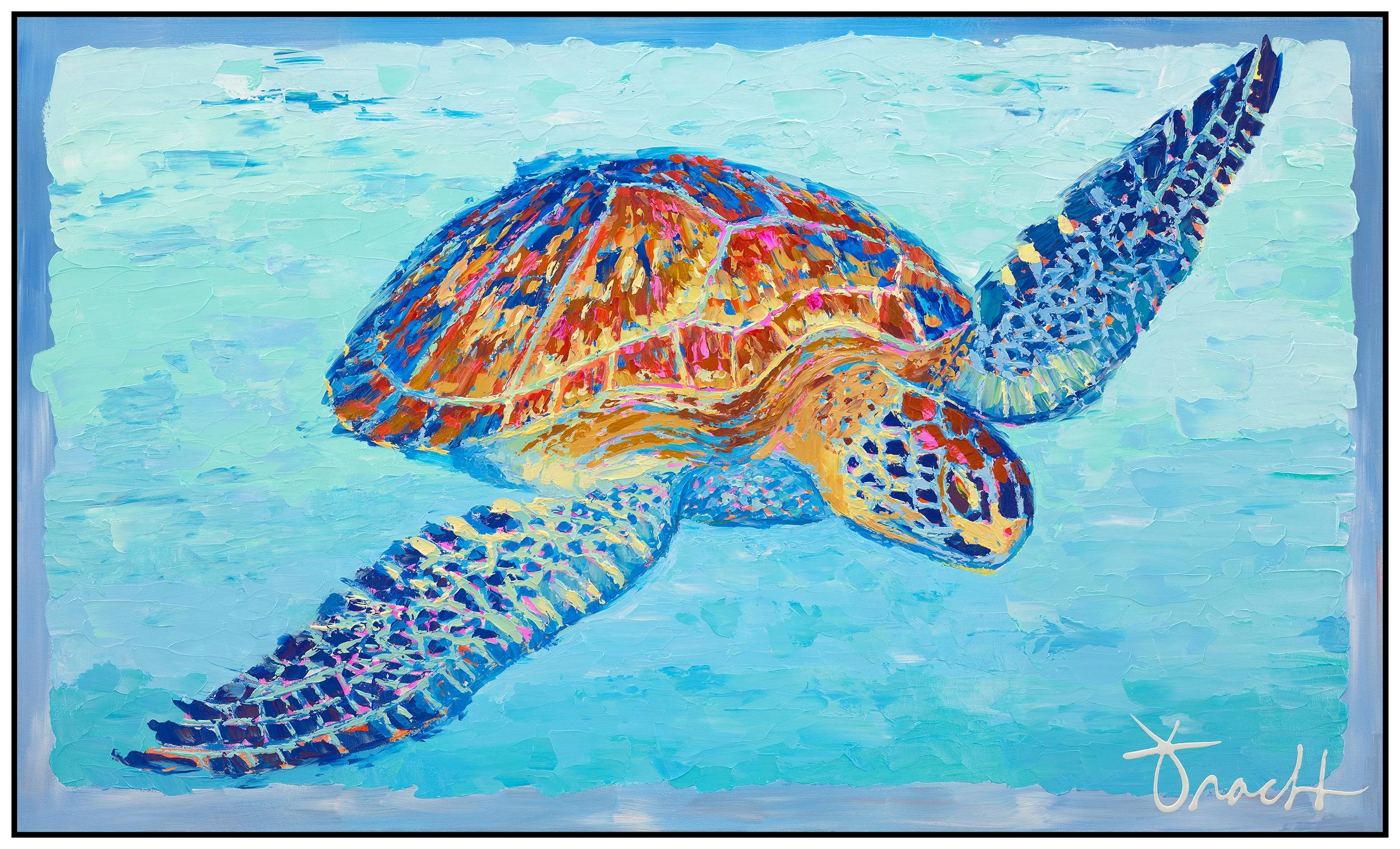 Cruisin Sea Turtle 34 (Small).jpg