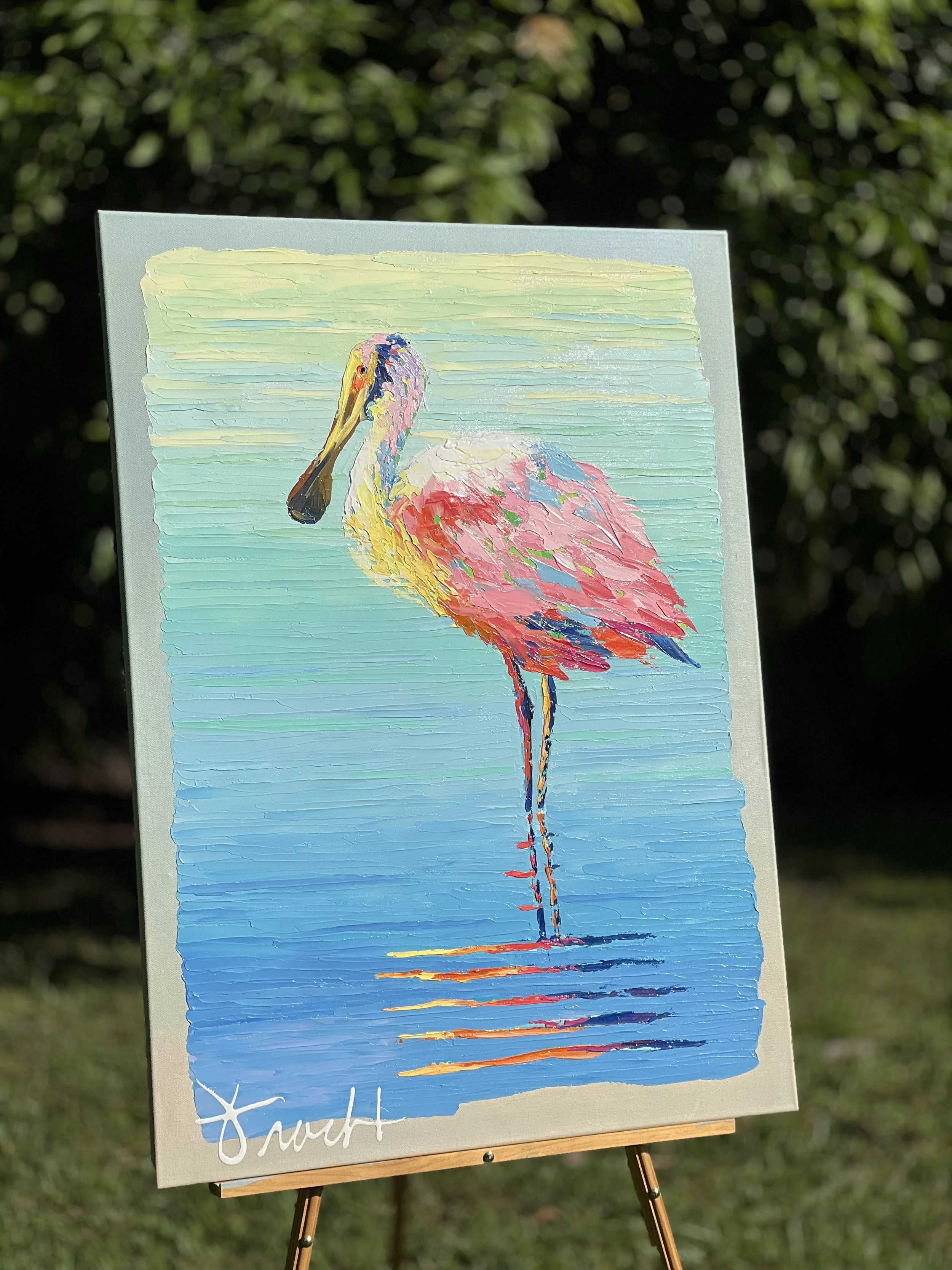 spoonbillreflections23 d5.jpg