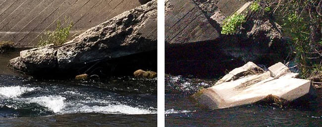 72nikon vs Hasselblad grain testISO800.jpg