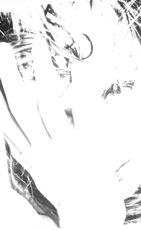 Screen Shot 2016-03-25 at 4.47.16 AM.png