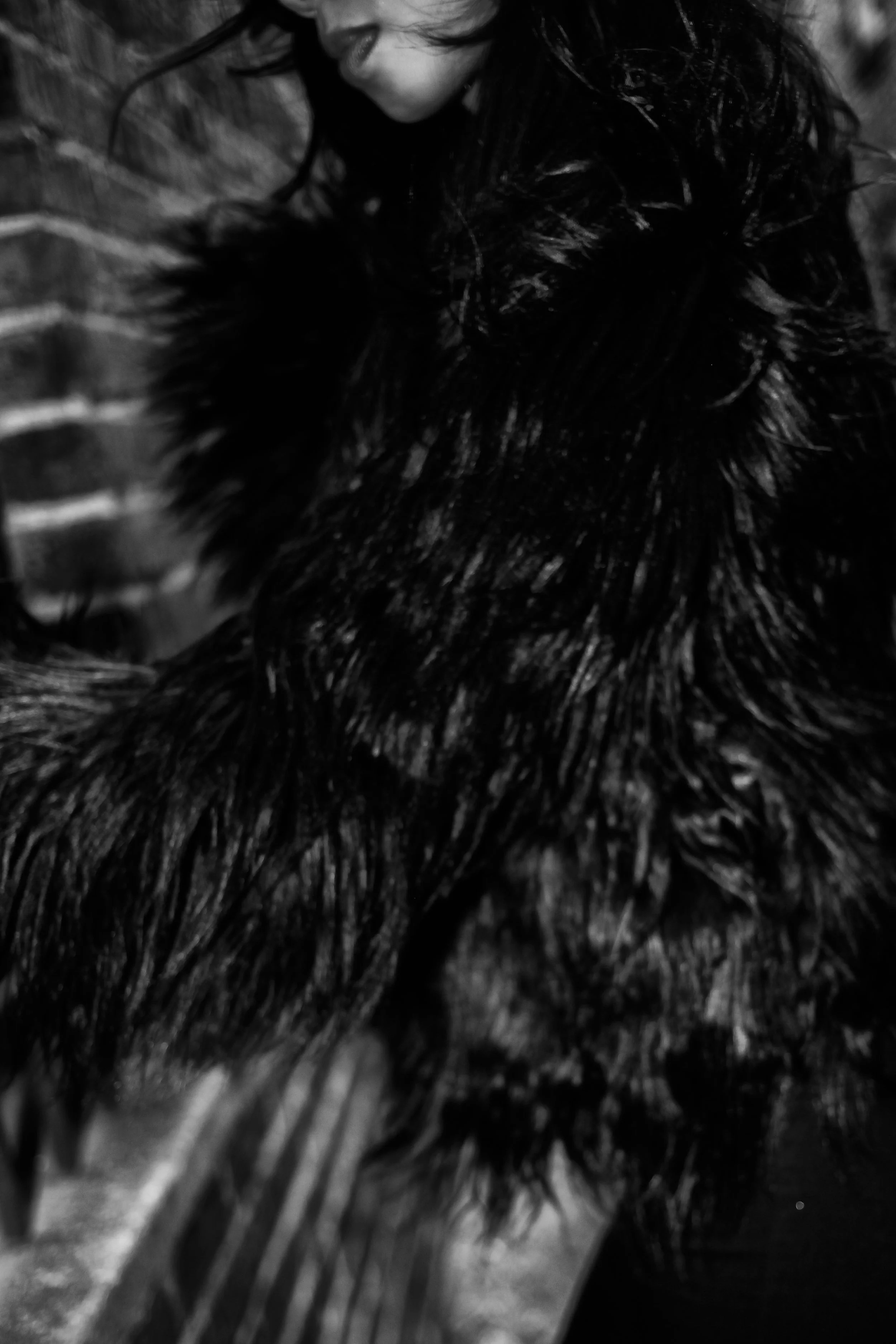 Untitled Job _MG_0242.jpg