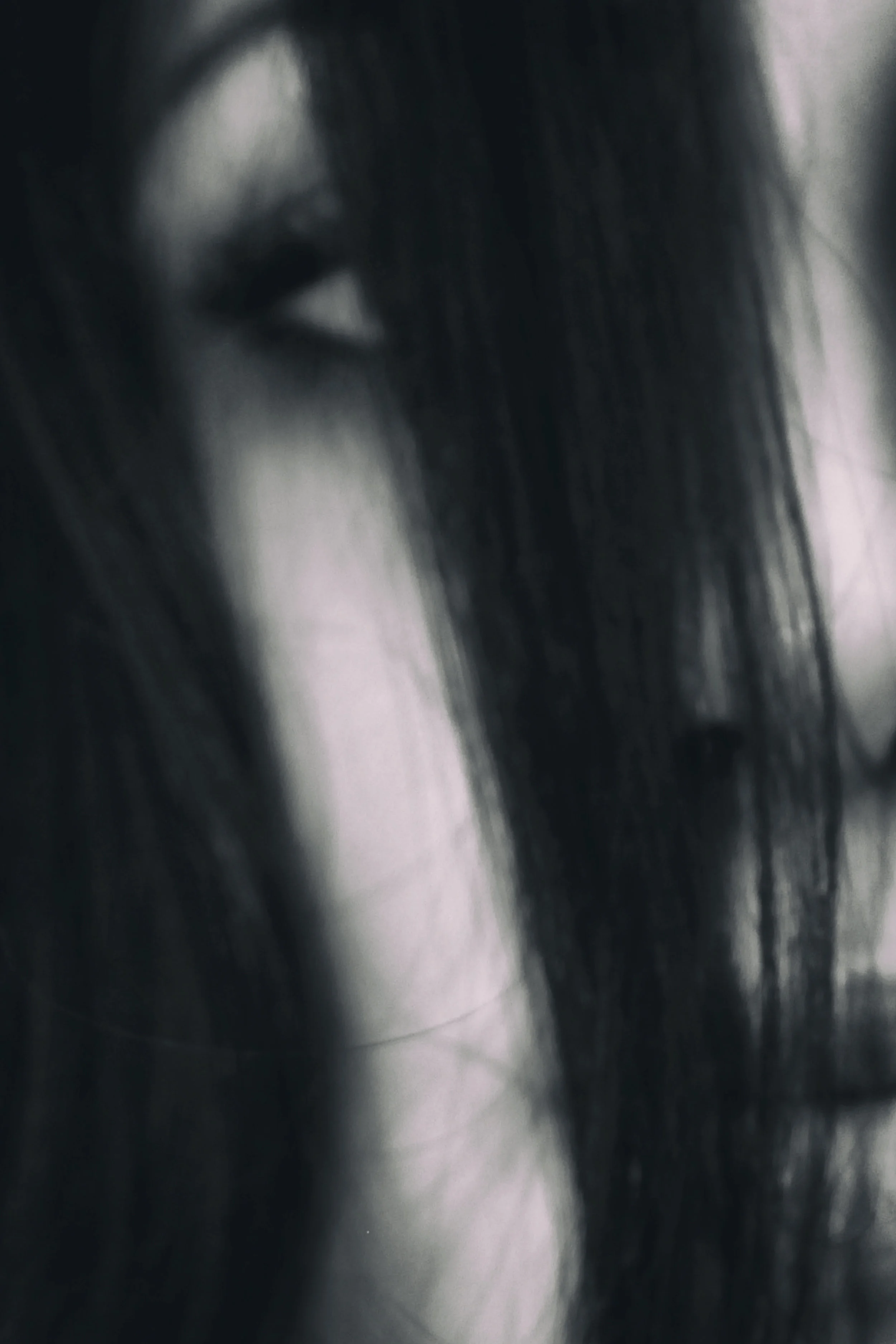 Untitled Job _MG_0628.jpg