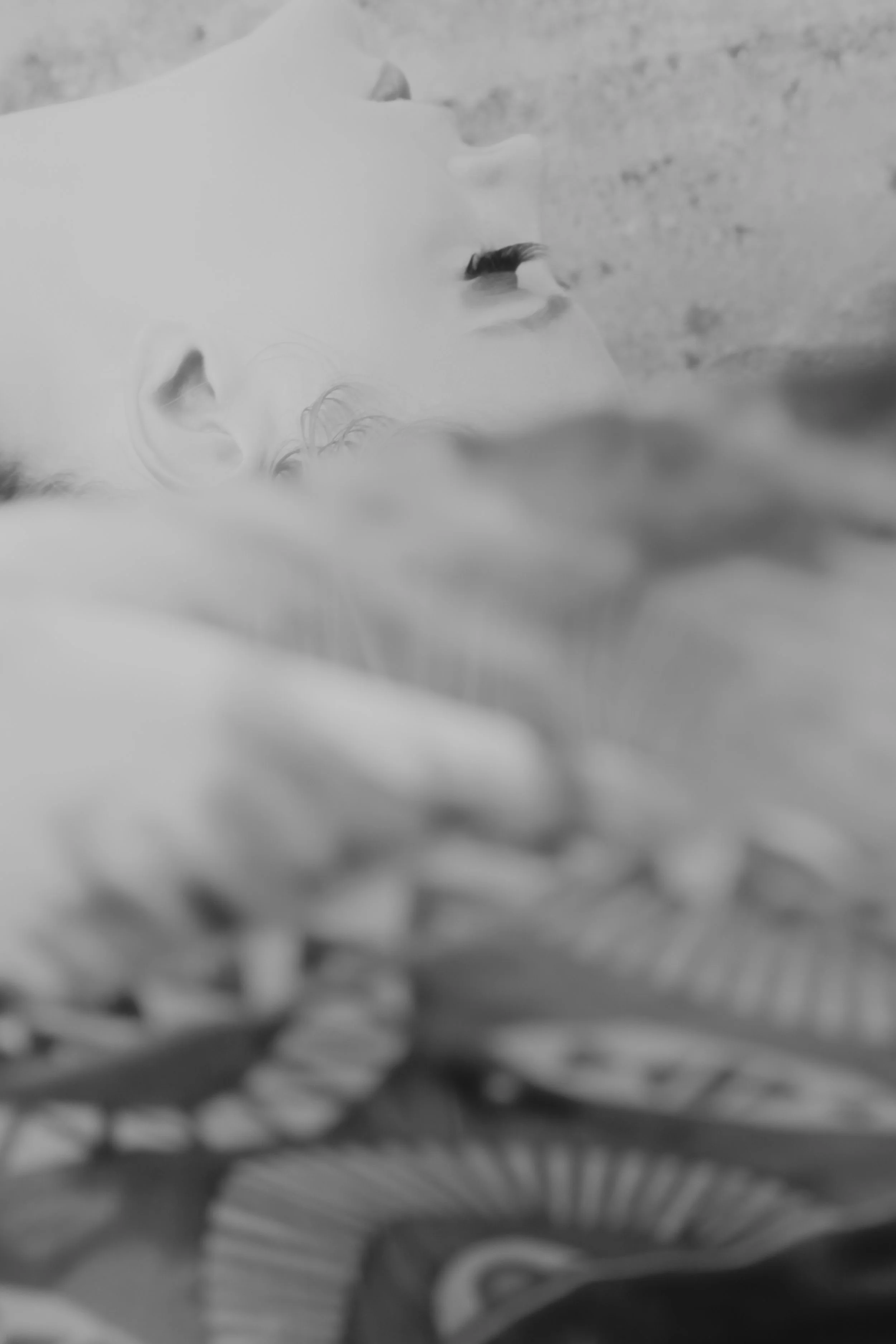 untitled-0234.jpg