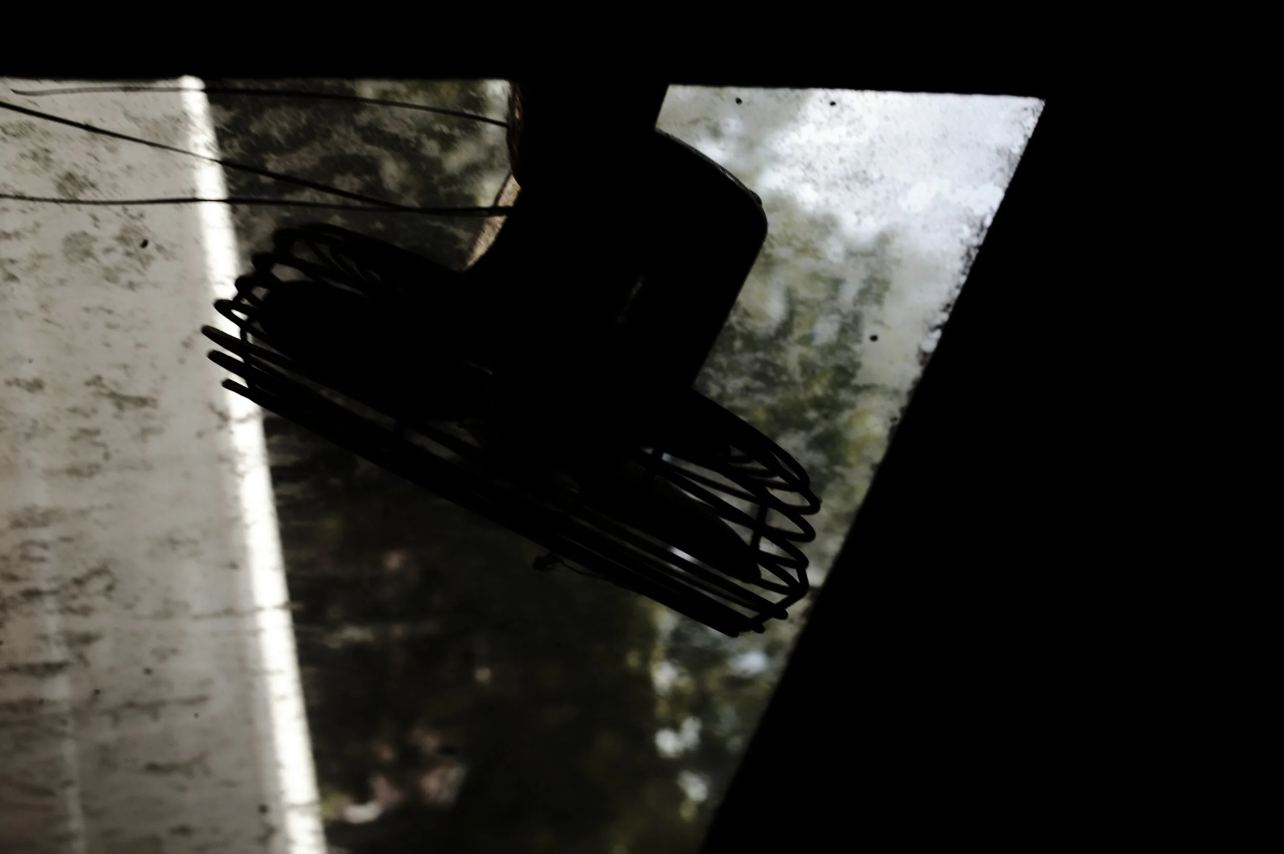 4B2X7284_DxO.jpg
